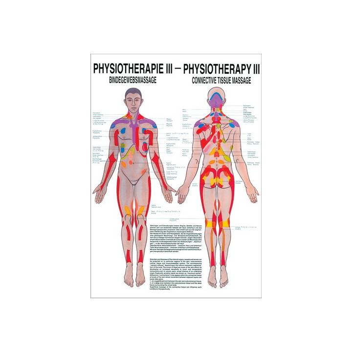 Physiotherapie III
