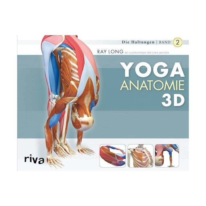 Yoga-Anatomie 3D