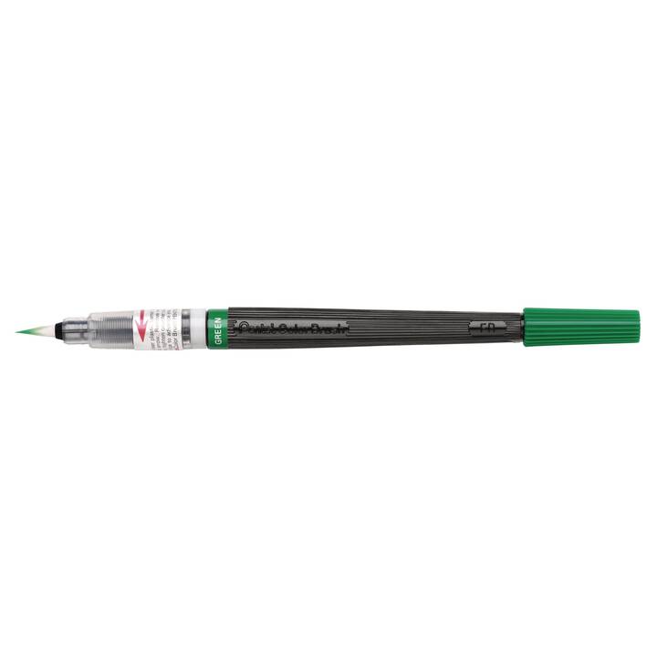 PENTEL Crayon feutre (Vert, 12 pièce)