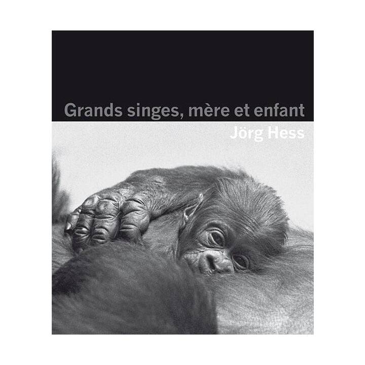 Grands singes, mère et enfant