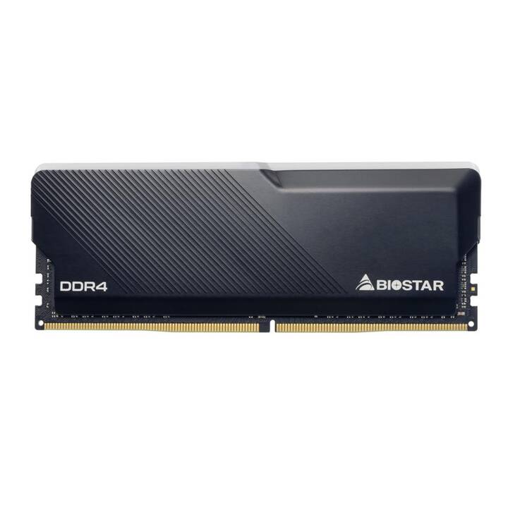 BIOSTAR DMD32EU4R8 (1 x 8 GB, DDR4 3200 MHz, DIMM 288-Pin)