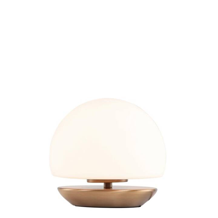 STEINHAUER Lampe de table (Brun, Blanc)