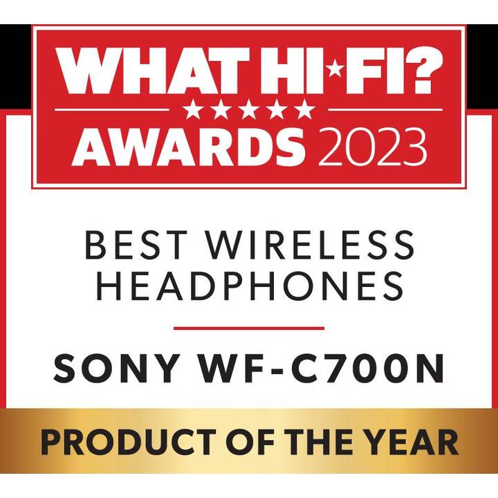 SONY WF-C700N (ANC, Bluetooth 5.2, Violett)