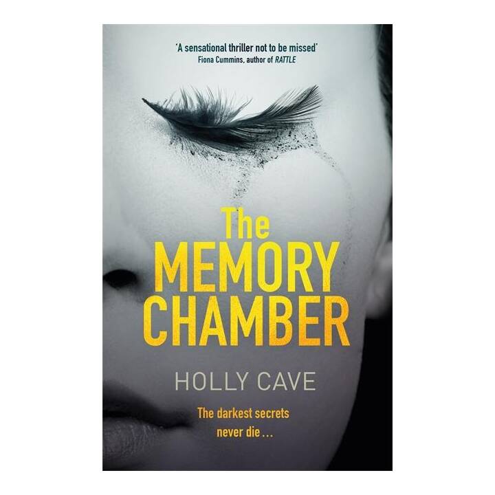 The Memory Chamber