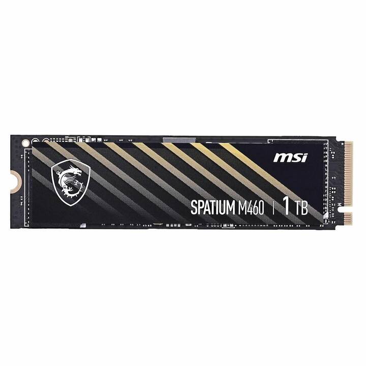 MSI Spatium M460 (PCI Express, 1000 GB)