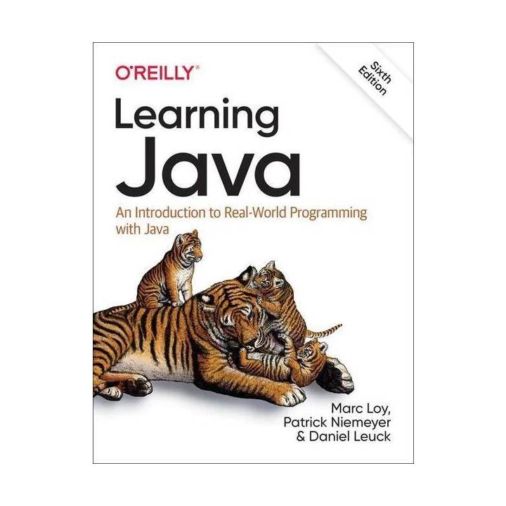 Learning Java 6e