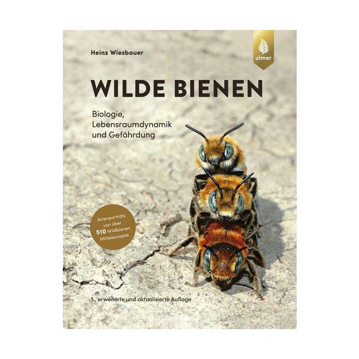 Wilde Bienen