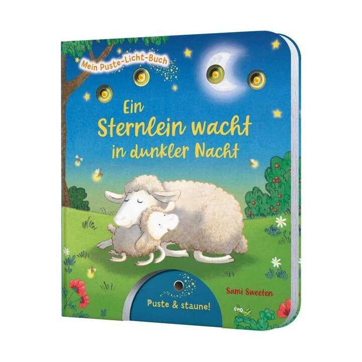 Ein Sternlein wacht in dunkler Nacht