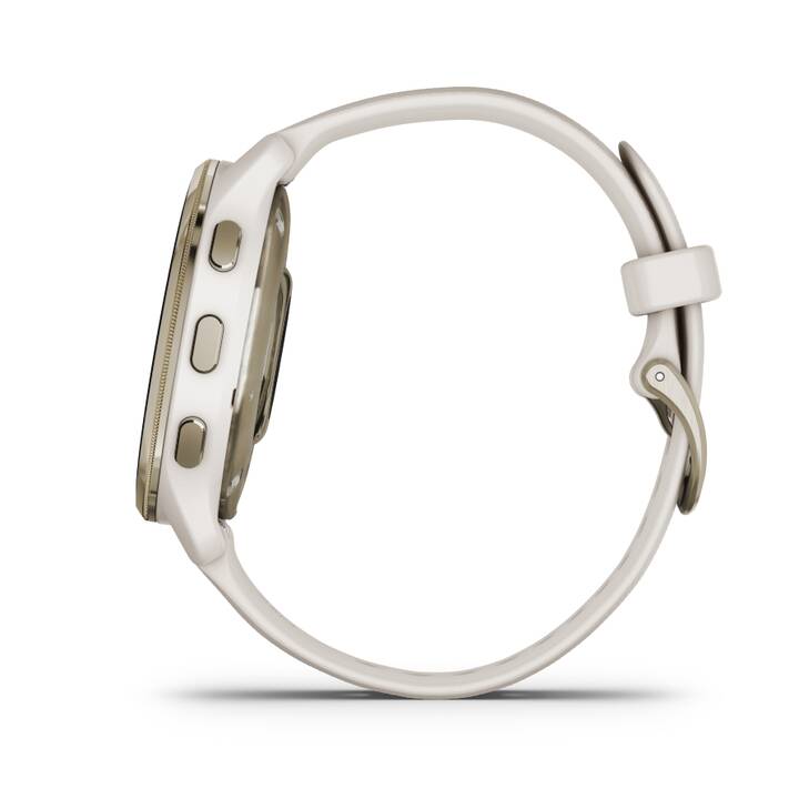 Montre connectée Garmin Venu 2 Plus Gris avec bracelet Noir