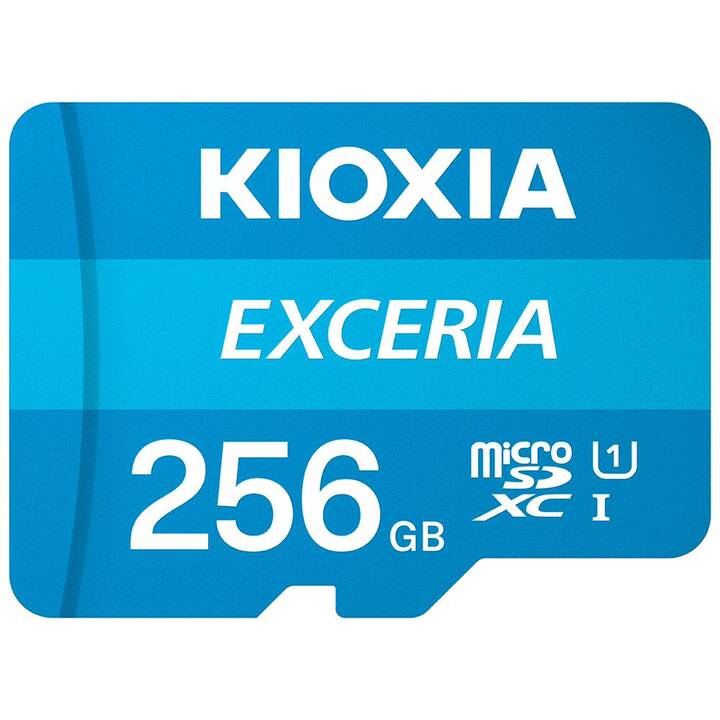 KIOXIA MicroSDXC Exceria (Class 10, 256 Go, 100 Mo/s)