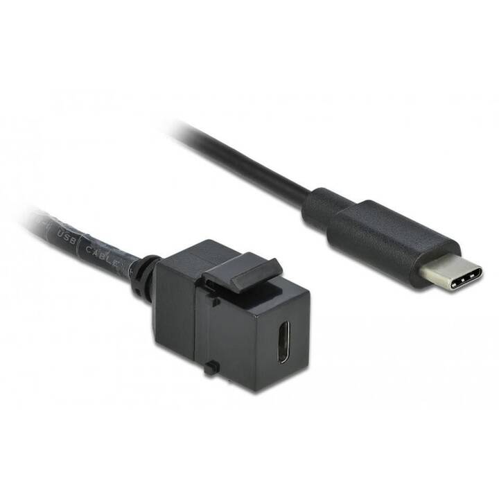 DELOCK Câble USB (USB-C, 25 cm)