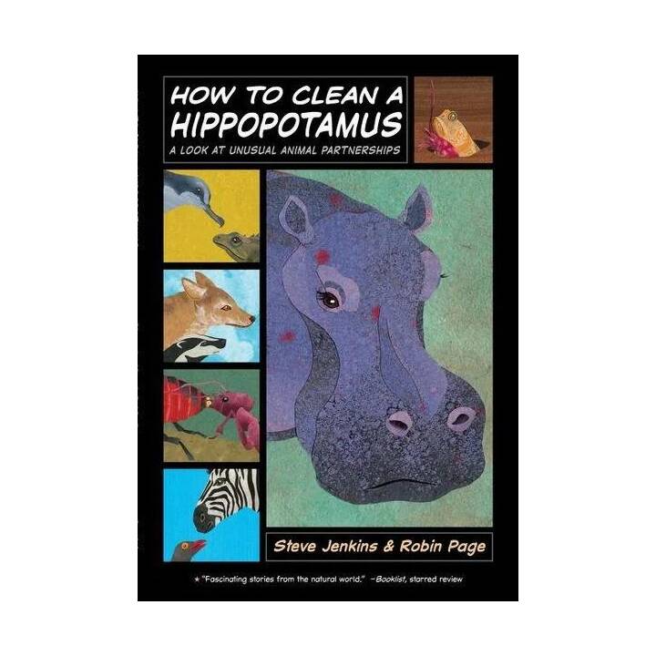 How to Clean a Hippopotamus