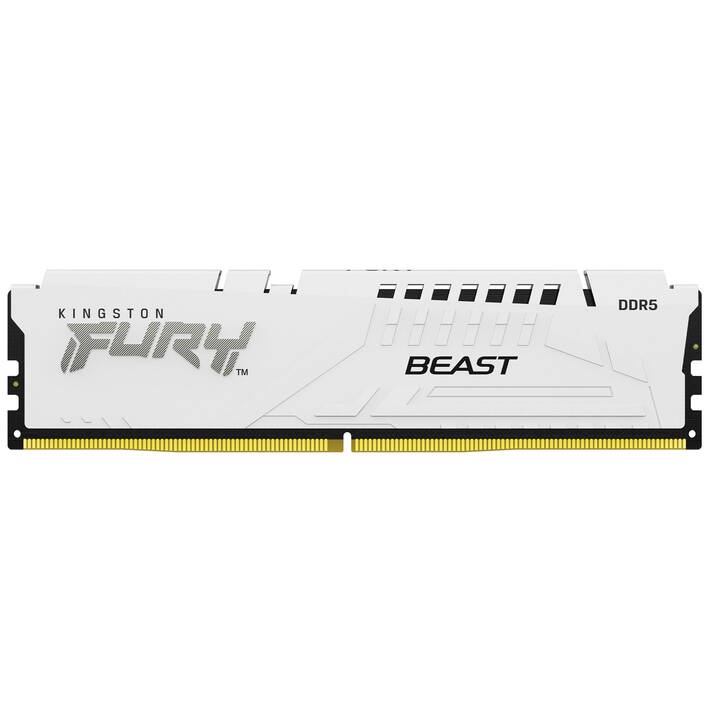 KINGSTON TECHNOLOGY Fury Beast KF564C32BW-16 (1 x 16 GB, DDR5 6400 MHz, DIMM 288-Pin)