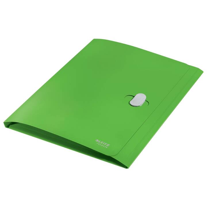 LEITZ Cartellina per archivio Recycle (Verde, A4, 1 pezzo)