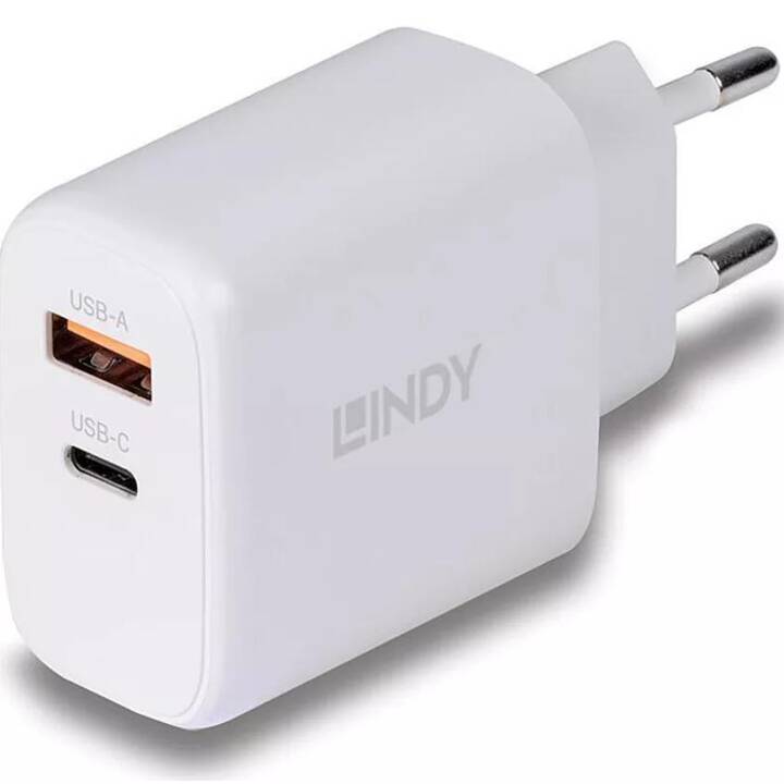 LINDY Caricabatteria da parete (USB C, USB B)