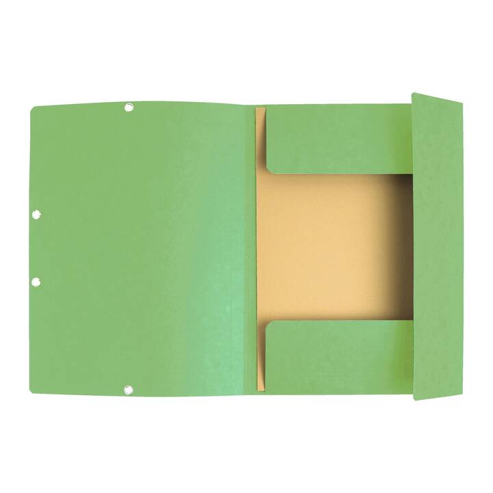 EXACOMPTA Dossier à élastique Aquarel (Vert clair, Vert jaunâtre, Vert, A4, 3 pièce)