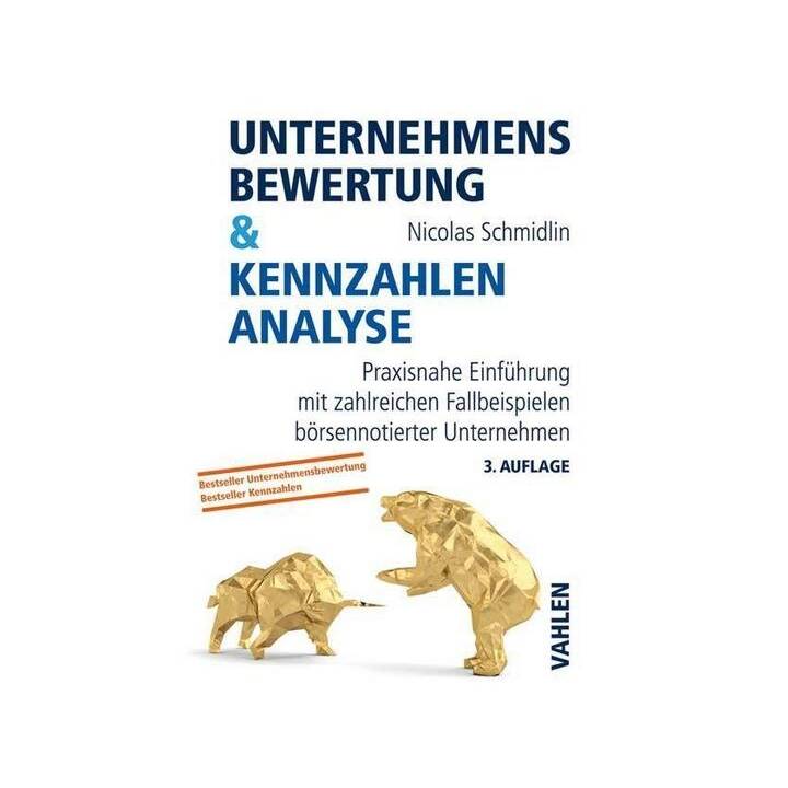 Unternehmensbewertung & Kennzahlenanalyse