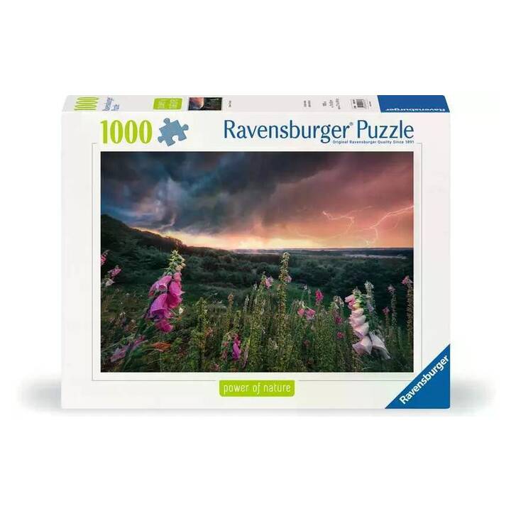 RAVENSBURGER Natura Puzzle (1000 Parti)