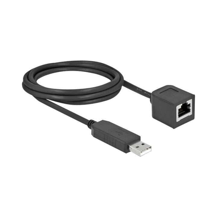 DELOCK Adapter (USB 2.0 Typ-A, RJ-45, 2 m)