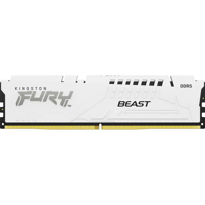 KINGSTON TECHNOLOGY Fury Beast KF560C36BWE2-16 (1 x 16 Go, DDR5 6000 MHz, DIMM 288-Pin)