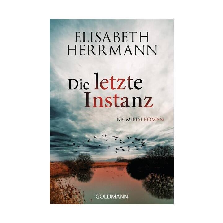 Die letzte Instanz