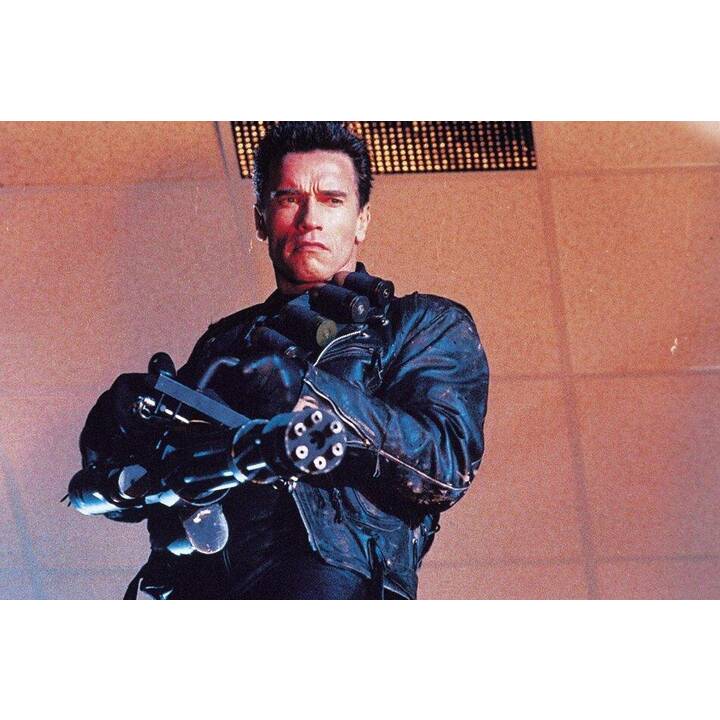 Terminator 2 - Tag der Abrechnung (4K Ultra HD, DE, EN, FR)