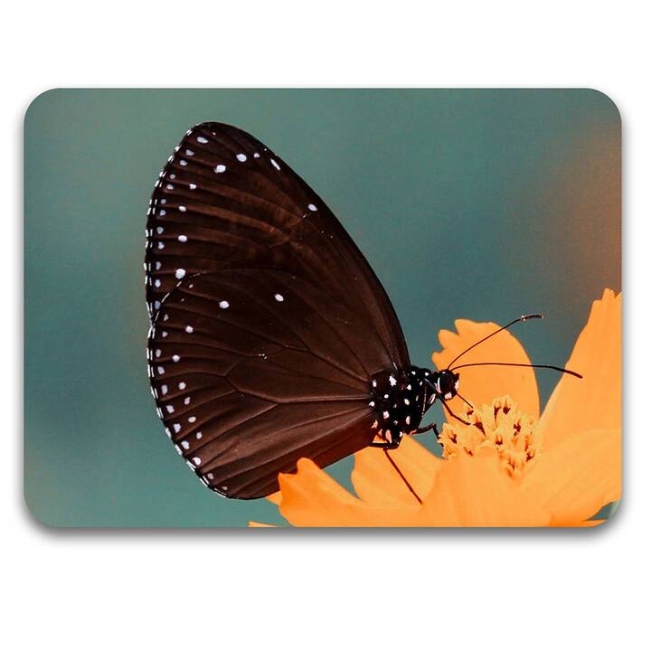 EG Mauspad - mehrfarbig - Schmetterling