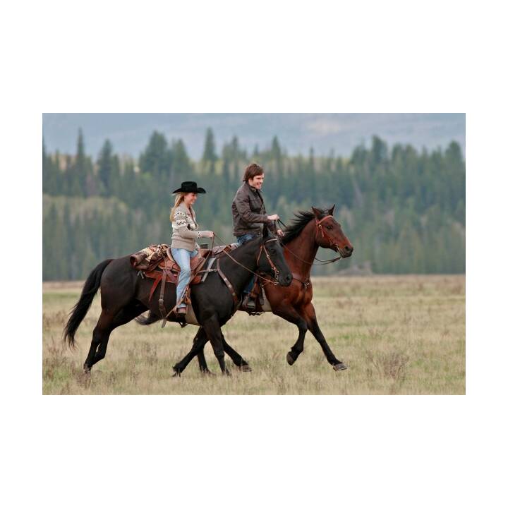 Heartland - Paradies für Pferde Saison 3 (EN, DE)