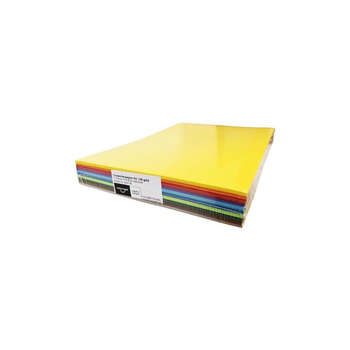 SCALDIA Papier à dessin de couleur (Coloris assortis, A3, 300 pièce)