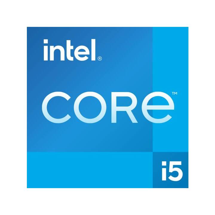 ACER Veriton Mini N2590G (Intel Core i5 1335U, 16 GB, 512 Go SSD, Intel Iris Xe Graphics)