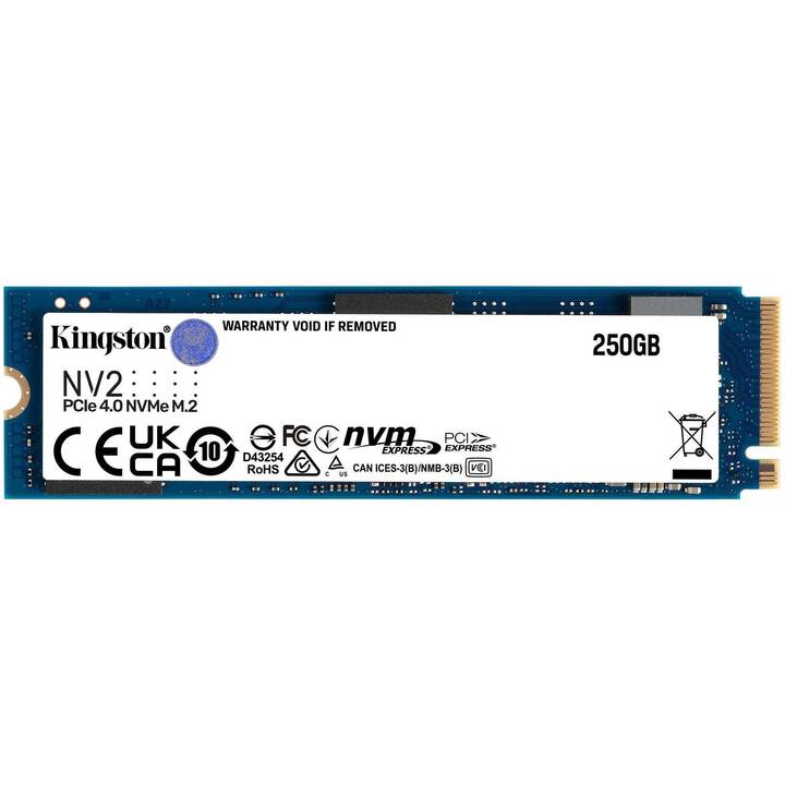 KINGSTON TECHNOLOGY NV2 (PCI Express, 250 GB, Bleu, Blanc)