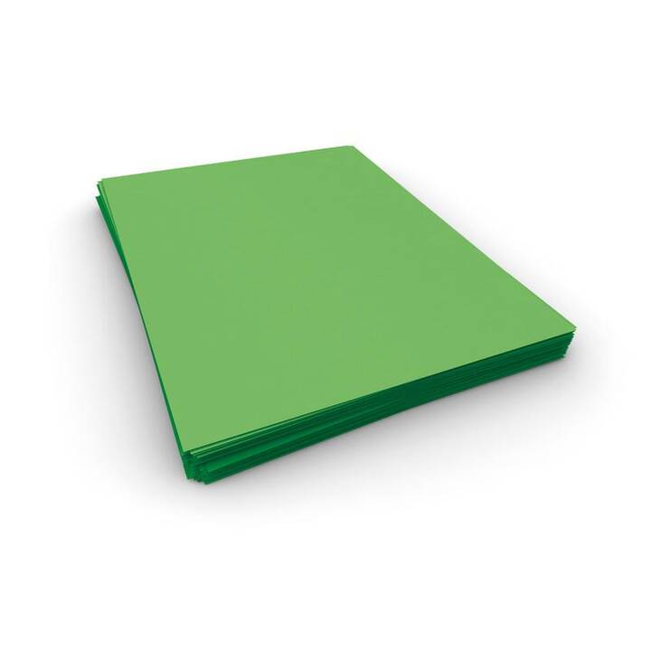 CLAIREFONTAINE Papier couleur (250 feuille, A4, 120 g/m2)