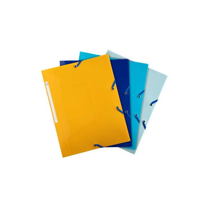 EXACOMPTA Cartellina con elastico Bee Blue (Colori assortiti, A4, 1 pezzo)