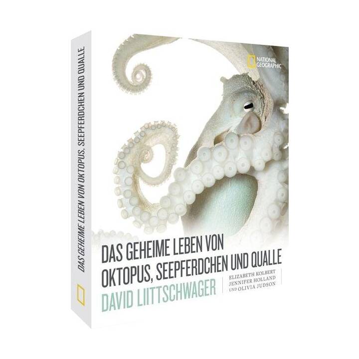 Das geheime Leben von Oktopus, Seepferdchen und Qualle