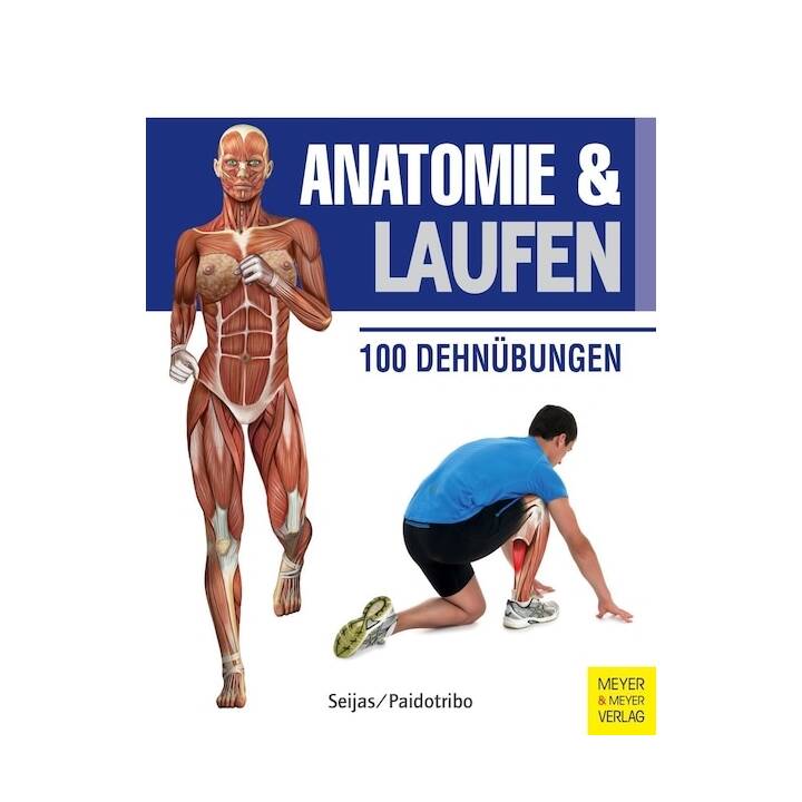 Anatomie & Laufen
