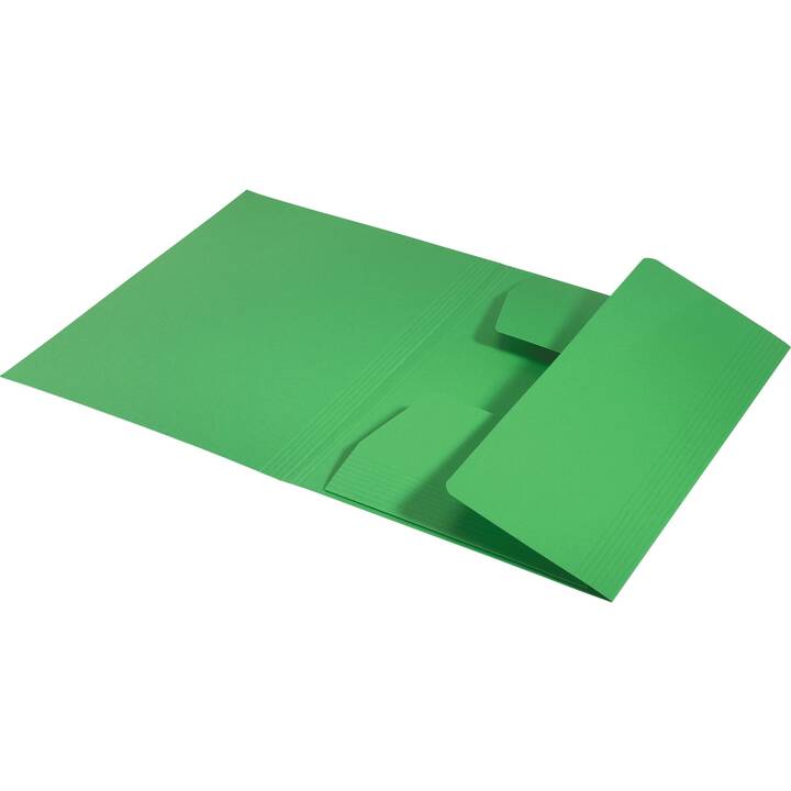 LEITZ Dossier répertoire (Vert, A4, 1 pièce)