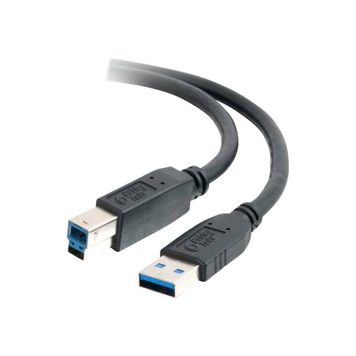 CABLES2GO Câble USB (USB A, USB Typ-B, 2 m)