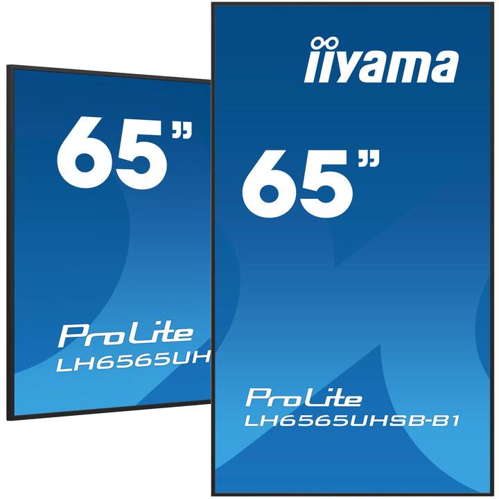 IIYAMA  ProLite LH6565UHSB-B (64.5", LED)