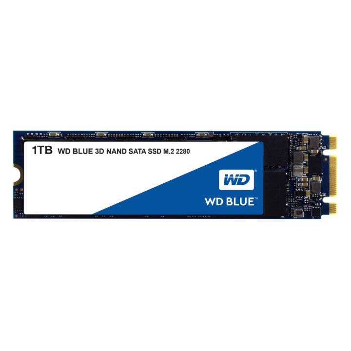 WESTERN DIGITAL WDS100T2B0B (SATA-III, 1000 GB)