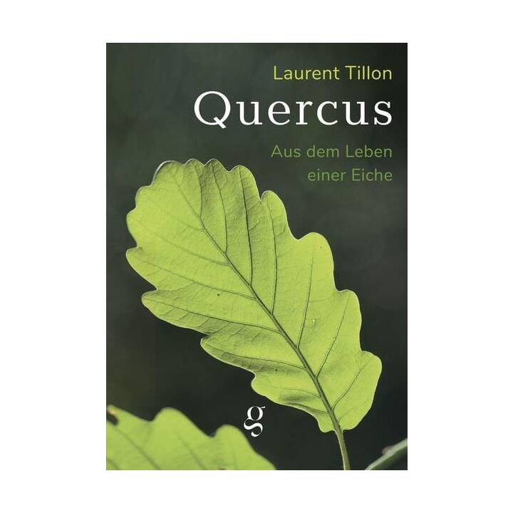 Quercus - Aus dem Leben einer Eiche
