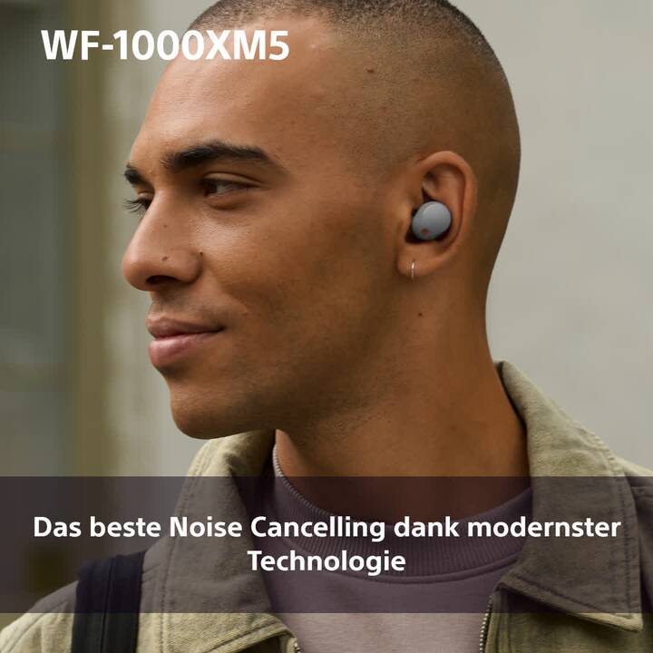 SONY WF-1000XM5 (Bluetooth 5.3, Silber)