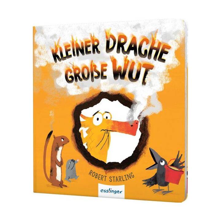 Kleiner Drache Finn: Kleiner Drache, grosse Wut. Pappebuch über Wut und Gefühle