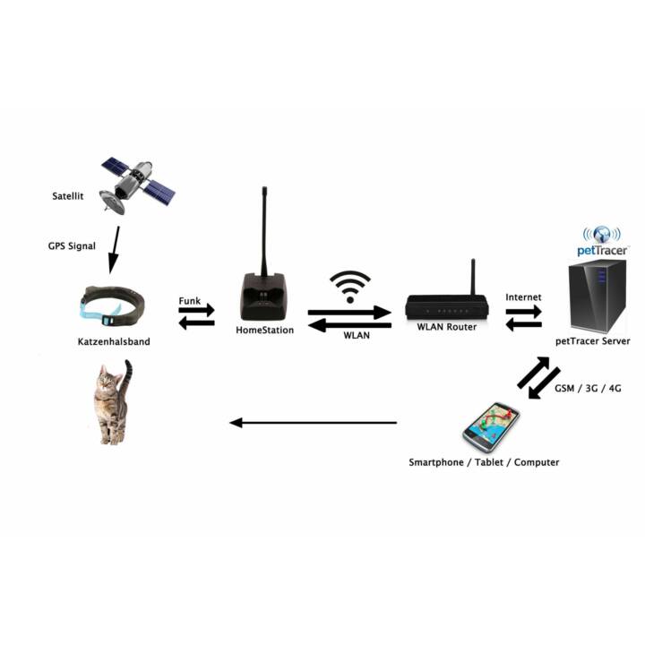 PETTRACER GPS Pet-Tracker (Einheitsgrösse, Schwarz)