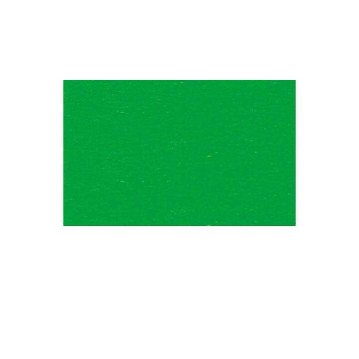 URSUS Cartone (Erba verde, A4, 100 pezzo)
