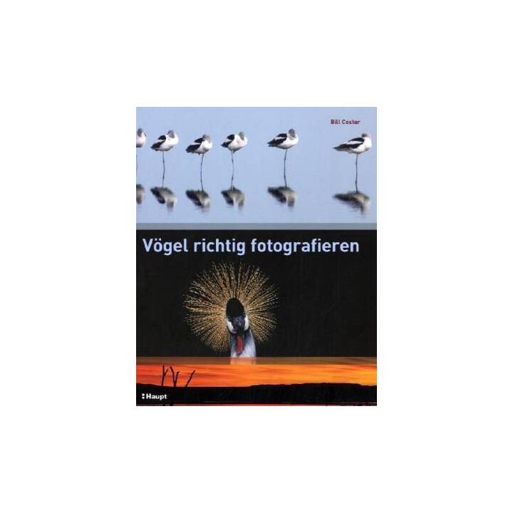 Vögel richtig fotografieren