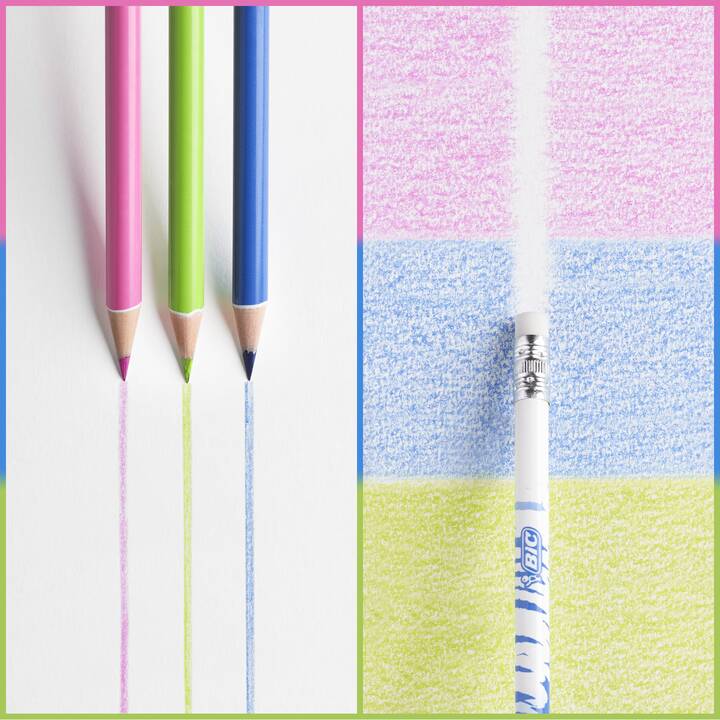 BIC Crayons de couleur Evolution (Multicolore, 12 pièce)