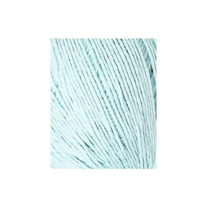 LALANA Wolle Soft Cord Ami (100 g, Mintgrün, Grün)