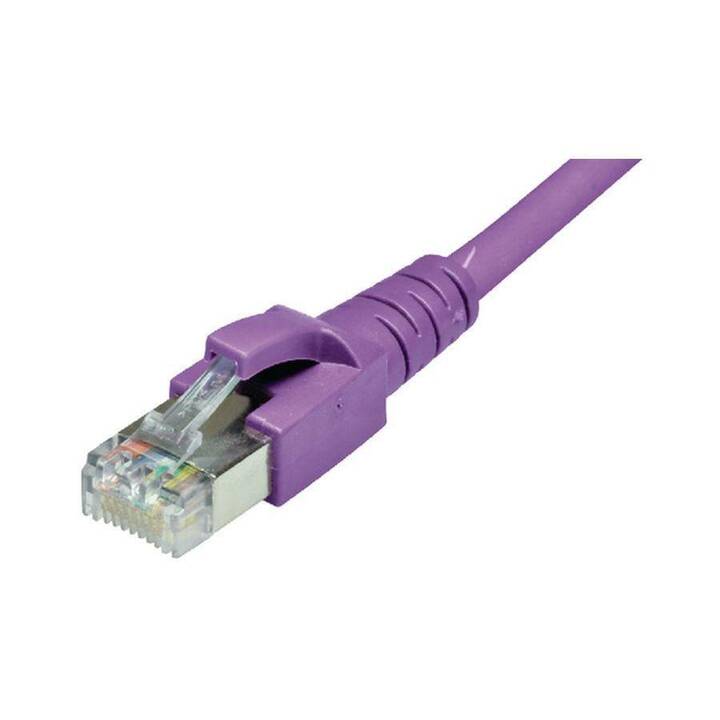 DÄTWYLER Verbindungskabel (RJ-45, 0.2 m)