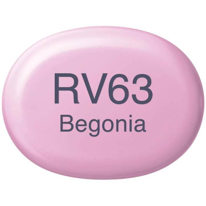 COPIC Marqueur de graphique Sketch RV63 Begonia (Rose, 1 pièce)