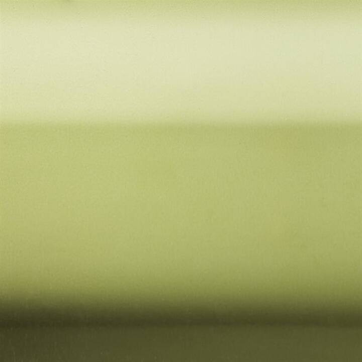 CRICUT Pelicolle adesive (30.48 cm x 30.48 cm, Cromo, Porpora, Pink, Multicolore)